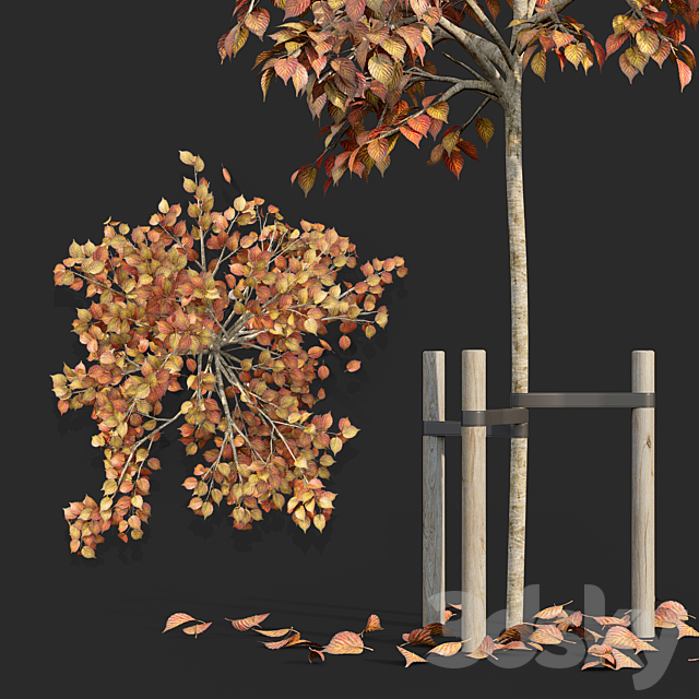 Tree with stake 01 3DSMax File - thumbnail 2