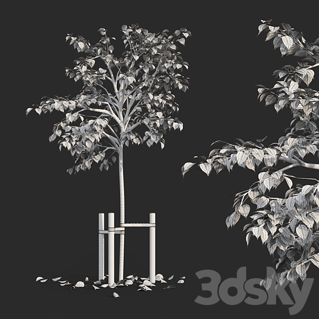 Tree with stake 01 3DSMax File - thumbnail 3