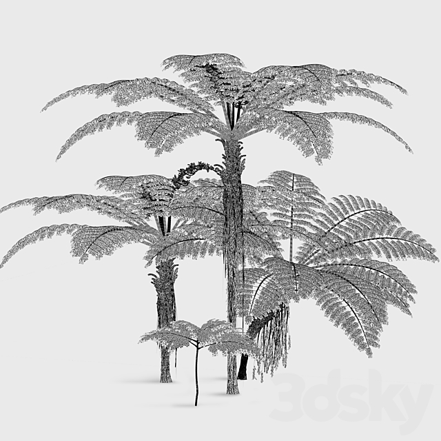 Treefern dicksonia antarctica 3DS Max Model - thumbnail 4