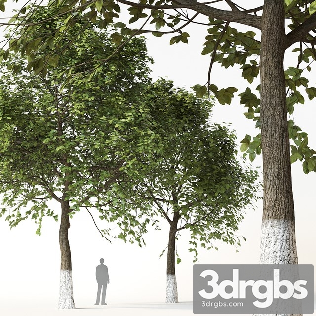 Trees 2 3dsmax Download - thumbnail 1