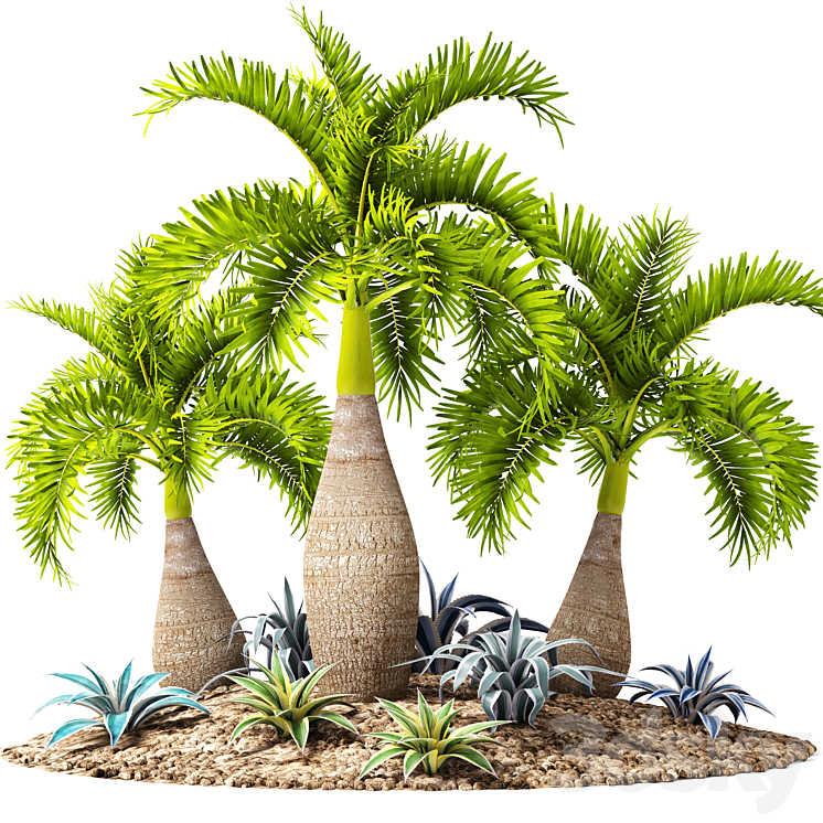 Tropical garden flowerbed landscaping agave thicket tropical exotic palm 3DS Max - thumbnail 1