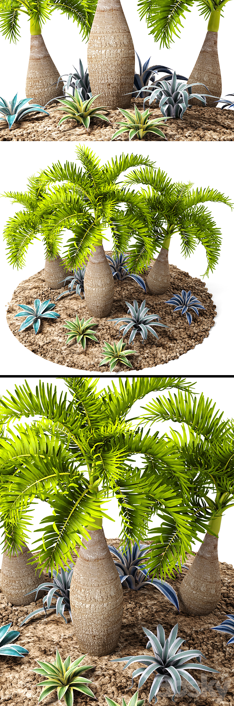 Tropical garden flowerbed landscaping agave thicket tropical exotic palm 3DS Max - thumbnail 2