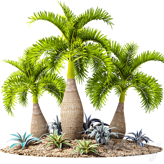 Tropical garden. flowerbed. landscaping. agave. thicket. tropical. exotic. palm 3DSMax File - thumbnail 1