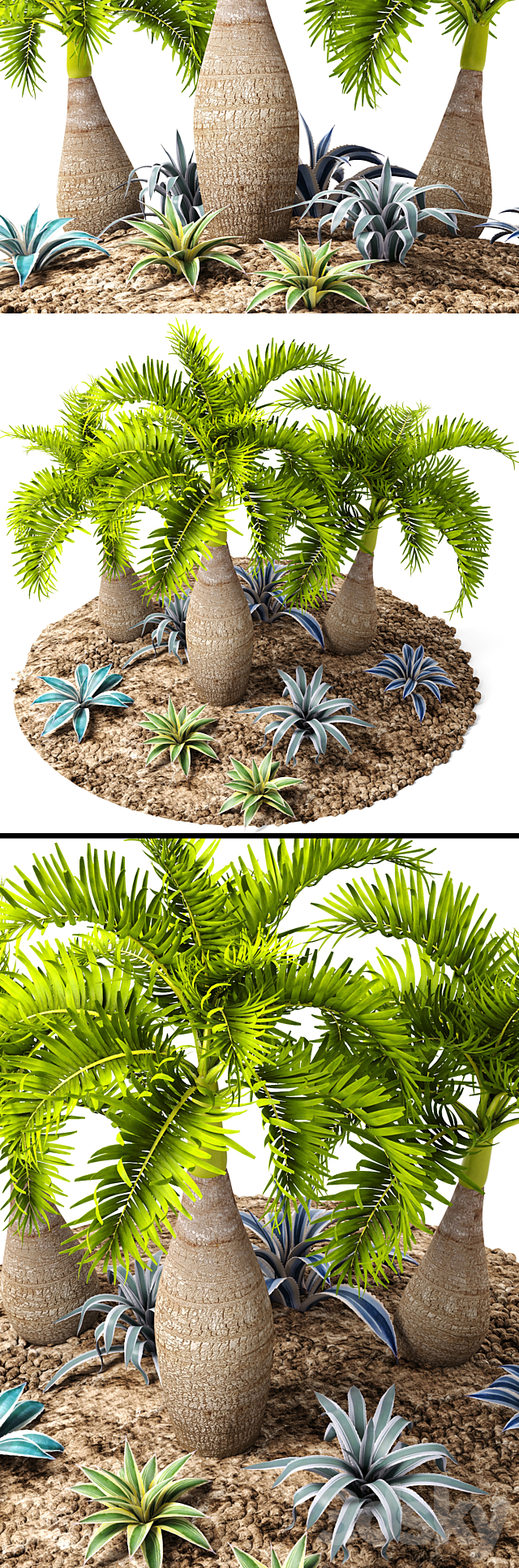 Tropical garden. flowerbed. landscaping. agave. thicket. tropical. exotic. palm 3DSMax File - thumbnail 2