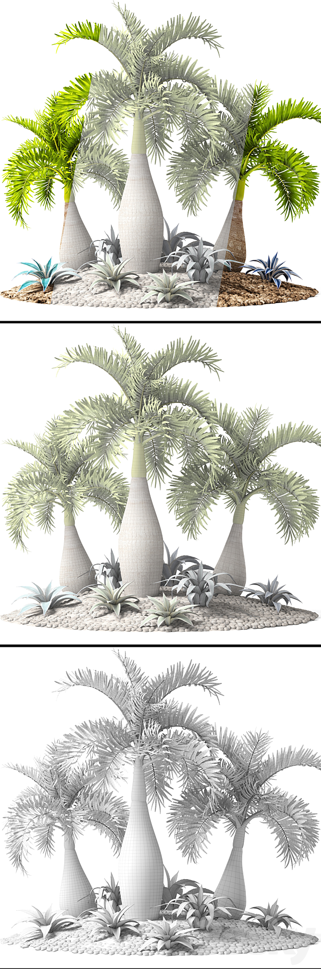 Tropical garden. flowerbed. landscaping. agave. thicket. tropical. exotic. palm 3DSMax File - thumbnail 3