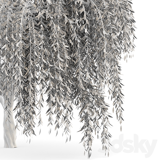 Weeping willow 2trees 3DS Max Model - thumbnail 4