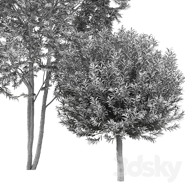 Willow 3DSMax File - thumbnail 4