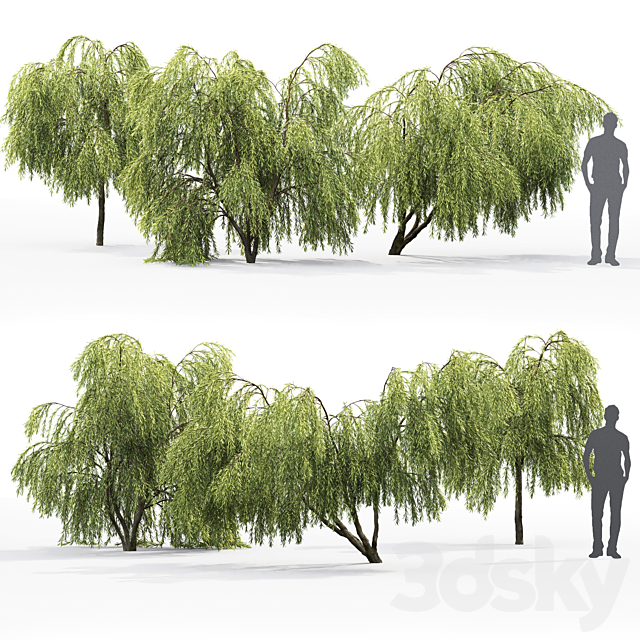 Willow 3DSMax File - thumbnail 3