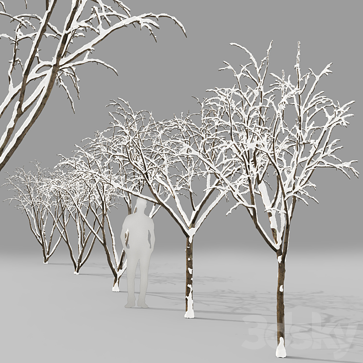 Winter apple tree | Malus Hybridus winter # 1 3DS Max - thumbnail 2