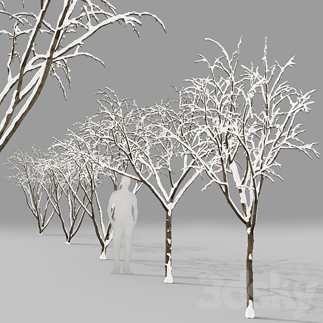 Winter apple tree | Malus Hybridus winter # 1 3DSMax File - thumbnail 2