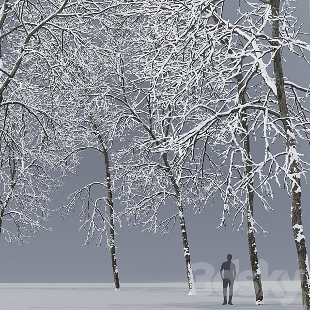 Winter Ash 3DS Max Model - thumbnail 2