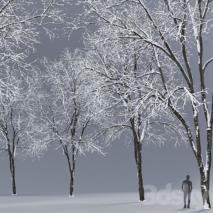 Winter Ash | Ash-tree winter # 3 (17m) 3DS Max - thumbnail 2