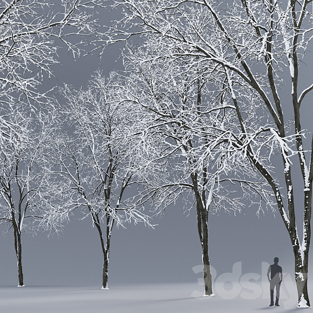 Winter Ash | Ash-tree winter # 3 (17m) 3DSMax File - thumbnail 2