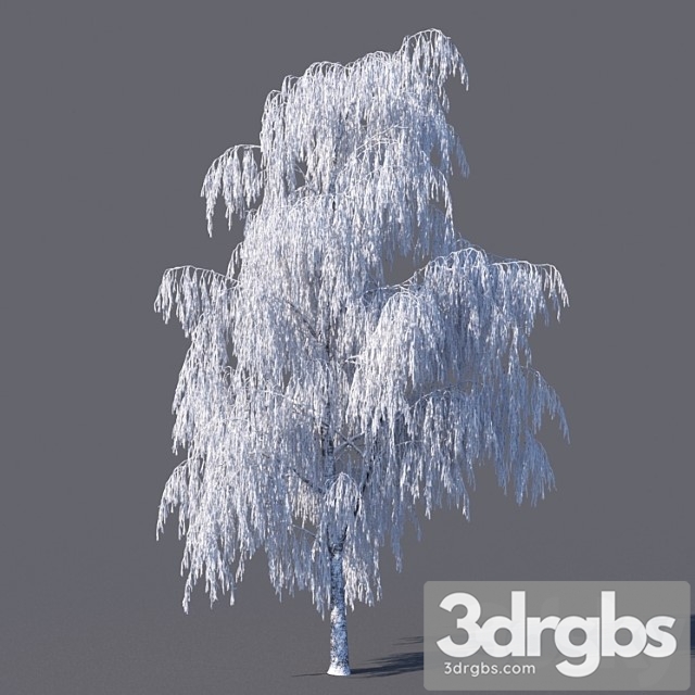 Winter Birch 15 Meters 3dsmax Download - thumbnail 1