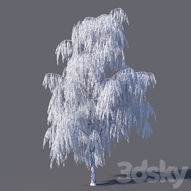 Winter birch (15 meters) 3DSMax File - thumbnail 1