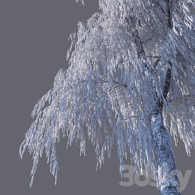 Winter birch (15 meters) 3DSMax File - thumbnail 2