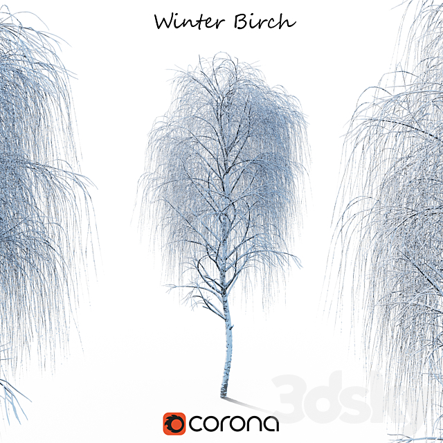 Winter birch 3DSMax File - thumbnail 1