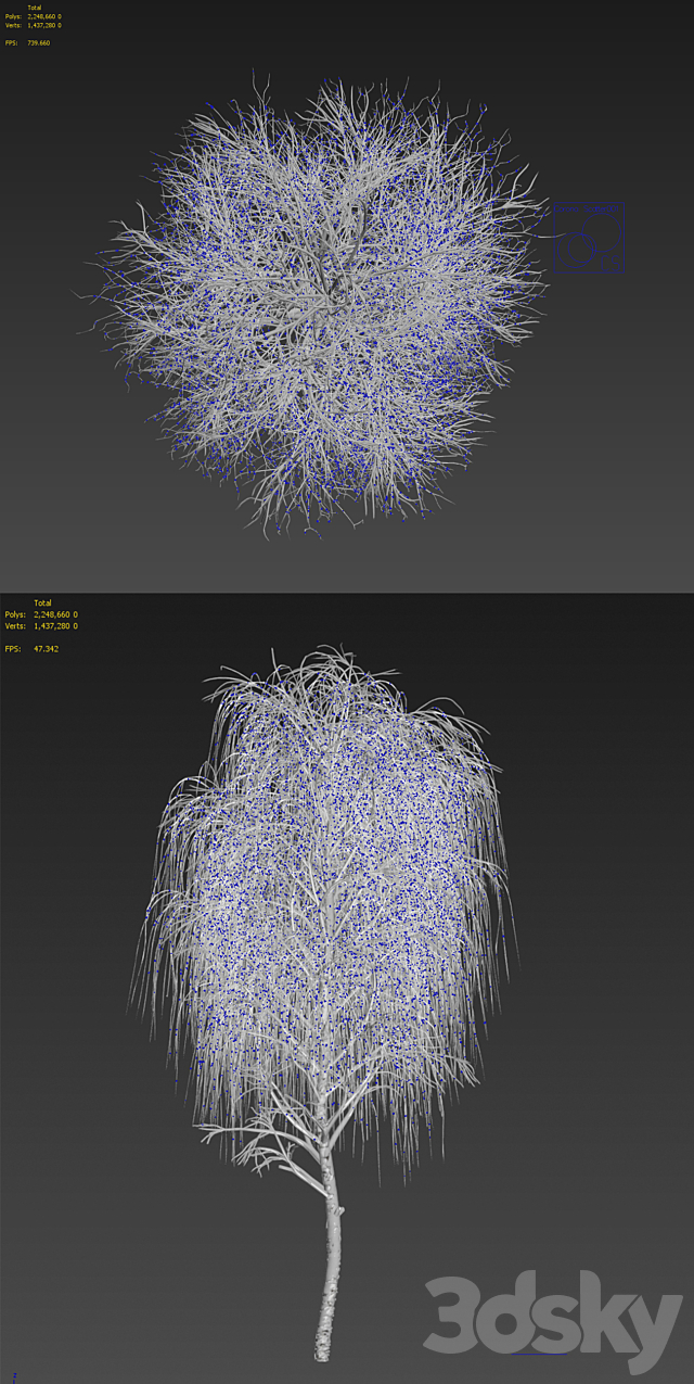 Winter birch 3DSMax File - thumbnail 3