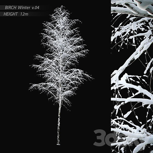 Winter birch v.04 (12m) 3ds Max - thumbnail 1