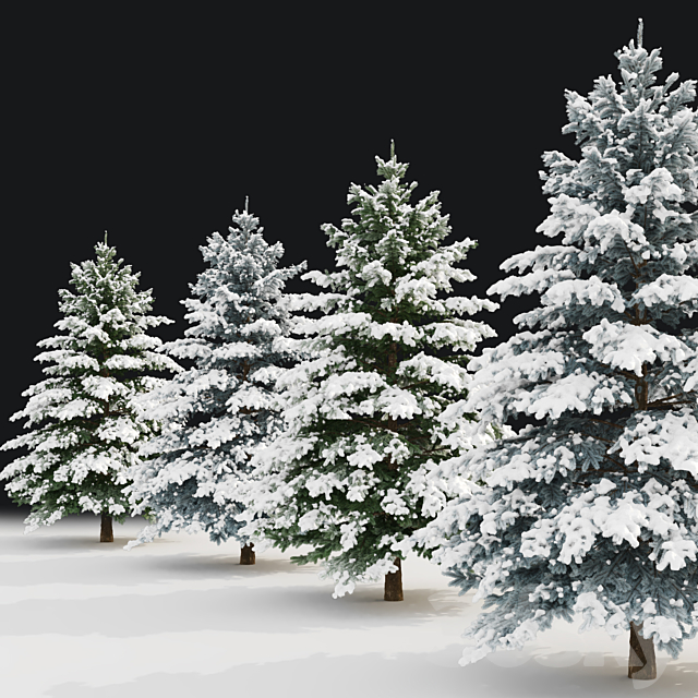 Winter spruce 3DS Max Model - thumbnail 2