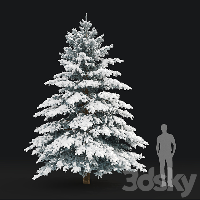 Winter spruce 3DS Max Model - thumbnail 3