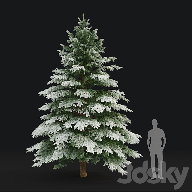 Winter spruce 3DS Max Model - thumbnail 4