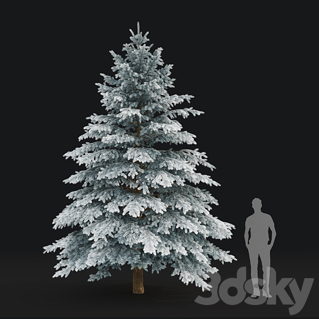 Winter spruce 3DS Max Model - thumbnail 5