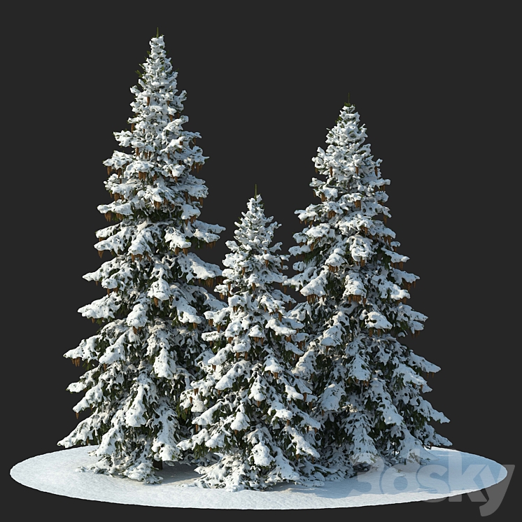 Winter spruces (Winter spruces) 3DS Max Model - thumbnail 1