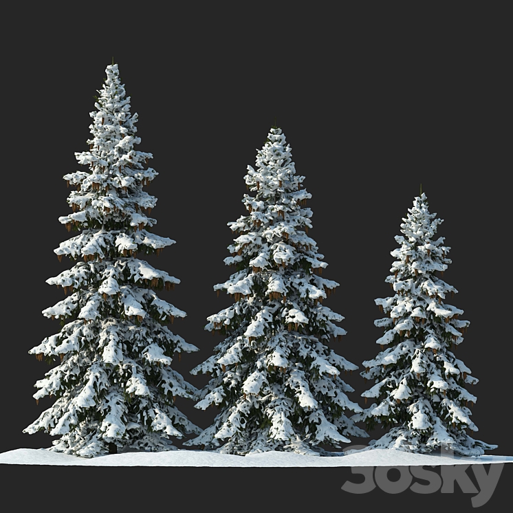 Winter spruces (Winter spruces) 3DS Max Model - thumbnail 2