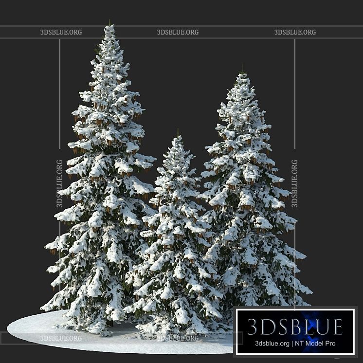 Winter spruces (Winter spruces) 3DS Max - thumbnail 3