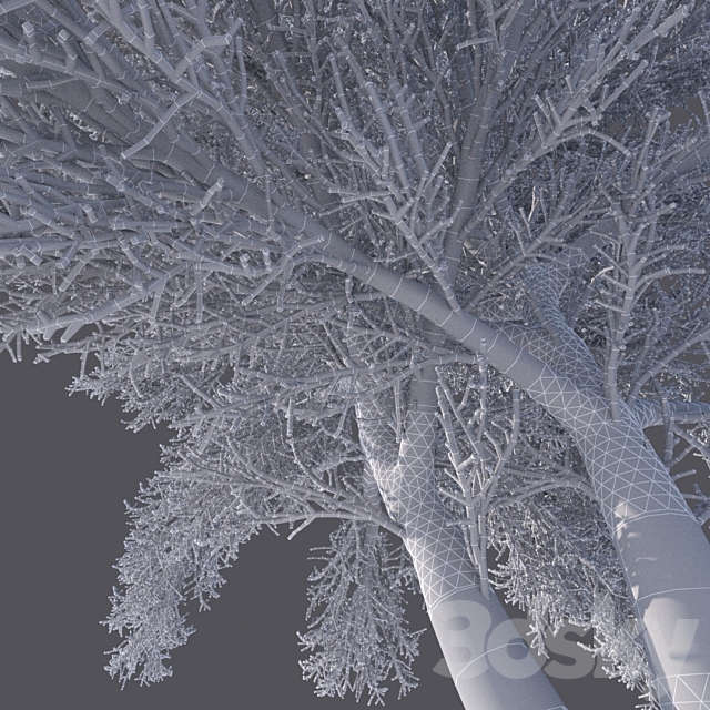 Winter tree (6 meters) 3DSMax File - thumbnail 3