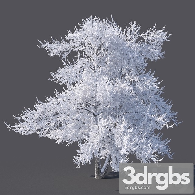 Winter tree (6 meters) - thumbnail 1