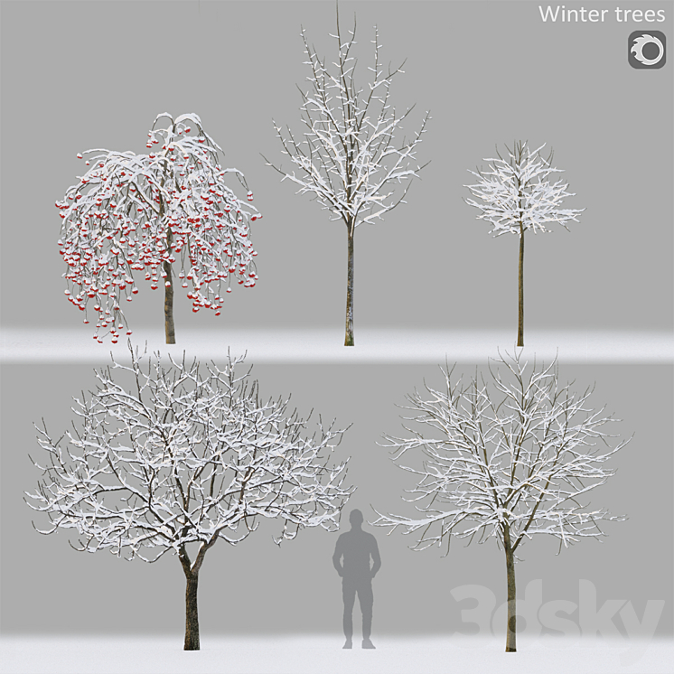 Winter trees # 1 3DS Max Model - thumbnail 1