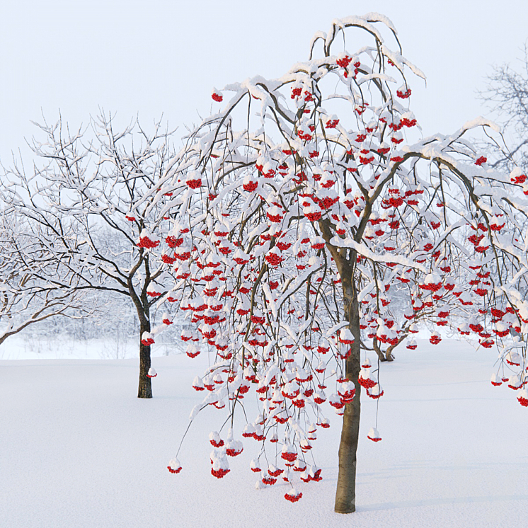 Winter trees # 1 3DS Max Model - thumbnail 2