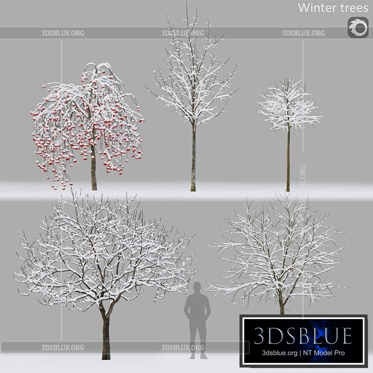 Winter trees # 1 3DS Max - thumbnail 3