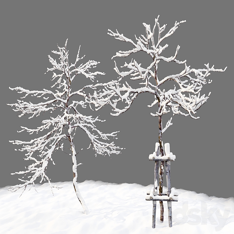 winter young trees 3DS Max Model - thumbnail 2