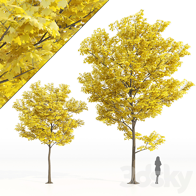 Yellow leaf trees 3ds Max - thumbnail 1