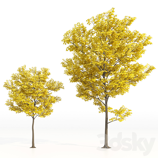 Yellow leaf trees 3ds Max - thumbnail 2