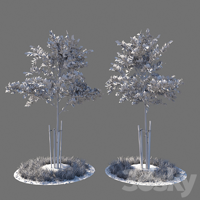 Young tree 01 3DS Max Model - thumbnail 2