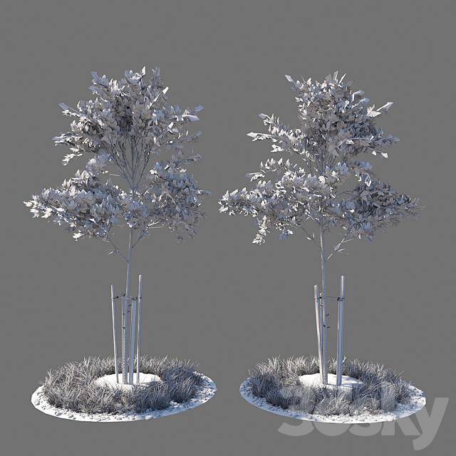 Young tree 02 3DS Max Model - thumbnail 2