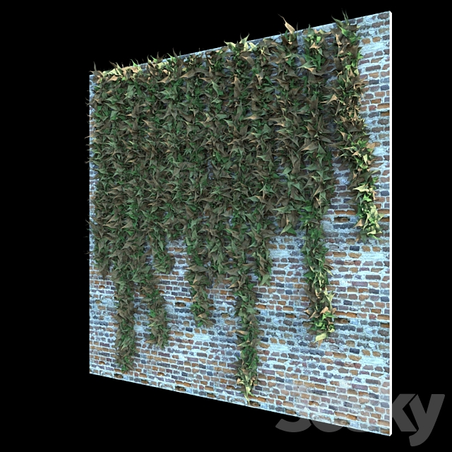 Ivy & Creepers v1.0 3ds Max - thumbnail 2