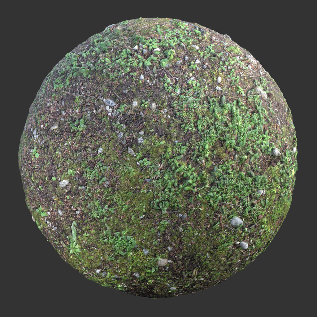 PBR TEXTURES – FULL OPTION – Ground Forest  – 539 - thumbnail 2