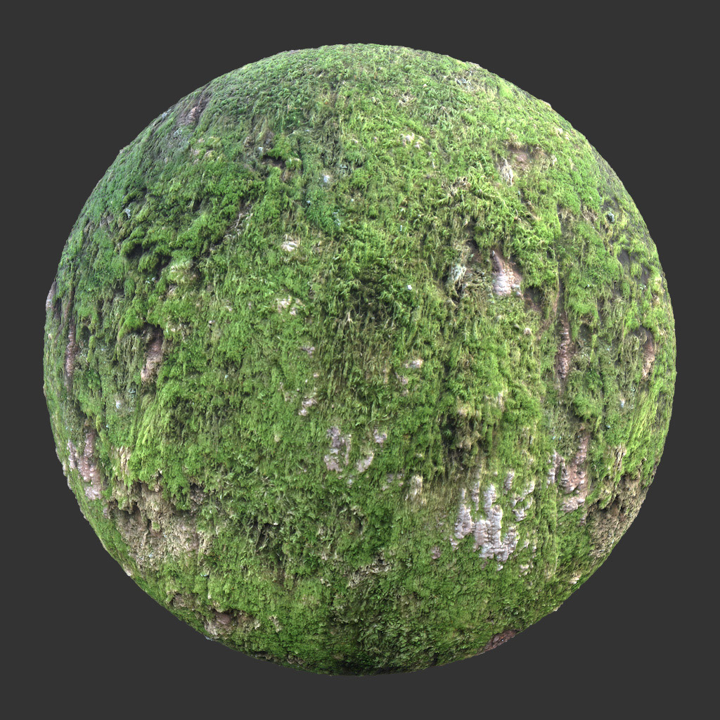 PBR TEXTURES – FULL OPTION – Bark Mossy Full – 021 - thumbnail 2