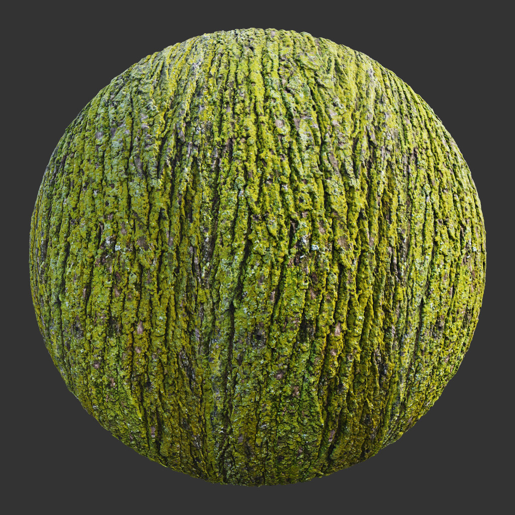 PBR TEXTURES – FULL OPTION – Bark Mossy Full – 022 - thumbnail 2