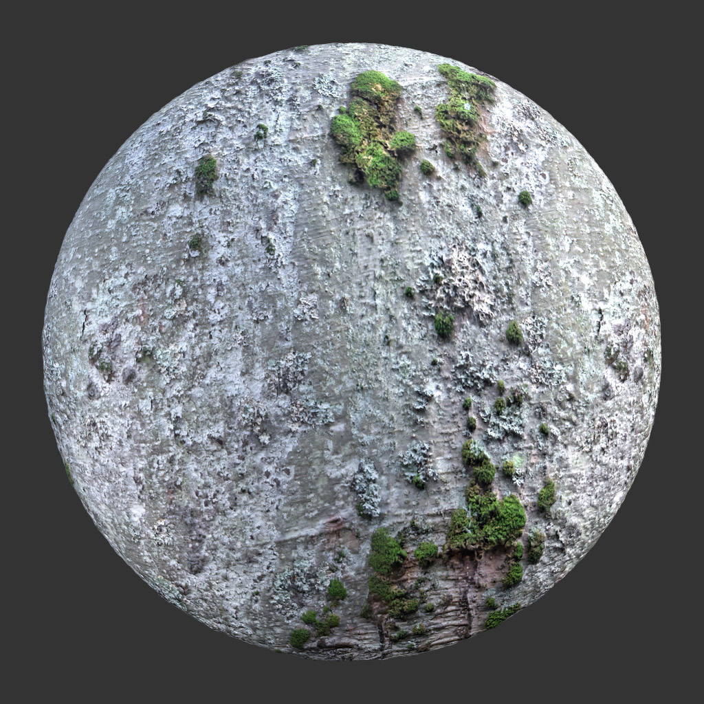 PBR TEXTURES – FULL OPTION – Bark Mossy Spotty – 024 - thumbnail 2