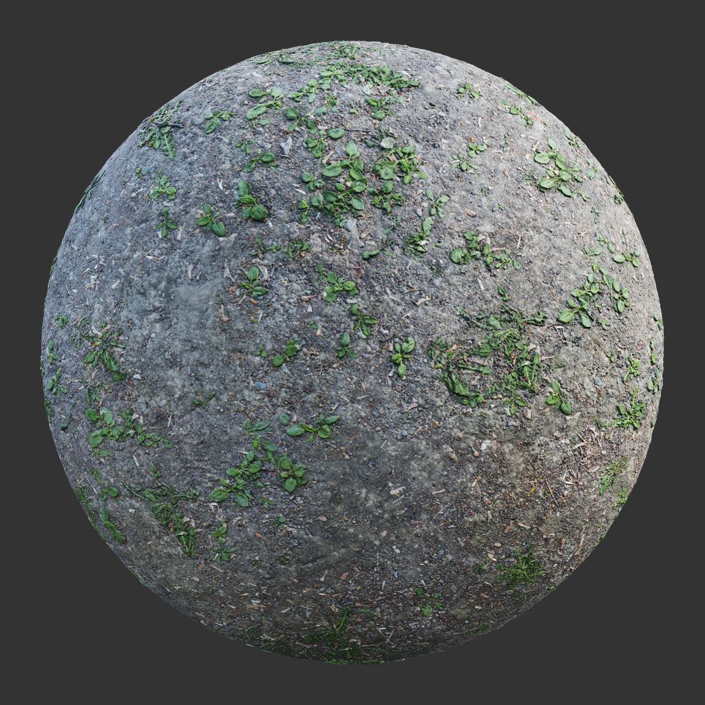PBR TEXTURES – FULL OPTION – Ground Forest  – 544 - thumbnail 2