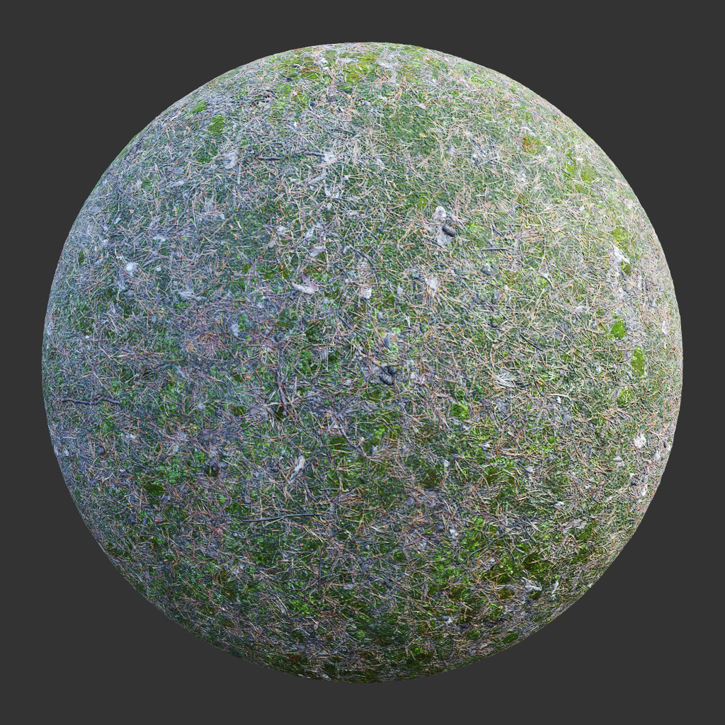 PBR TEXTURES – FULL OPTION – Ground Forest Mossy – 547 - thumbnail 2