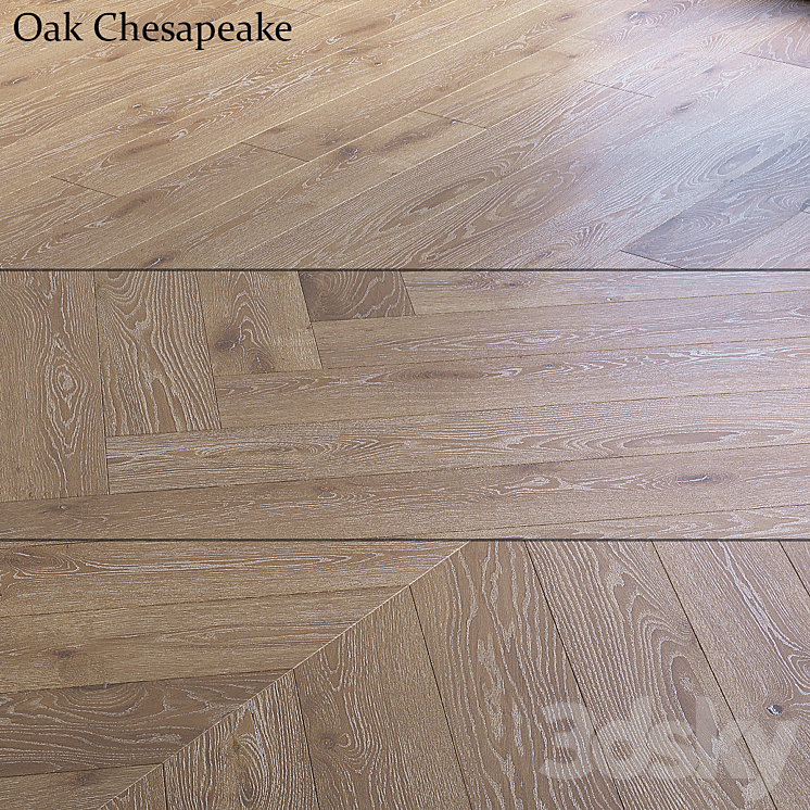 Oak Chesapeake 3DS Max Model - thumbnail 1