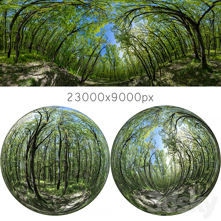 HDRI map from oak forest 3DS Max - thumbnail 1