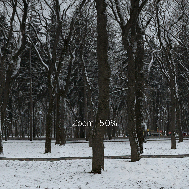 HDRI map from the winter park. 30k 3DSMax File - thumbnail 6